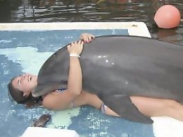 ZOO Porn and bestiality tube