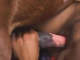 100% Free ZOO sex videos