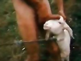 Animal porn video tube