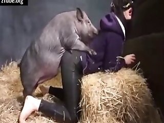 Zoophilia Porn