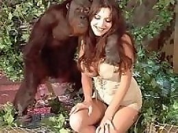 100% Free ZOO sex videos