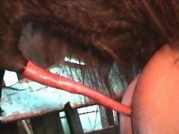 Free Zoo porn tube