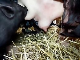 Animal Toplist Zoo Sex Porn