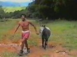 Zoo porno and animal sex