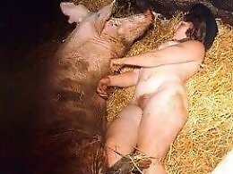 Animal porn videos and ZOO PORN