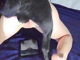 ZooAnimalPorn