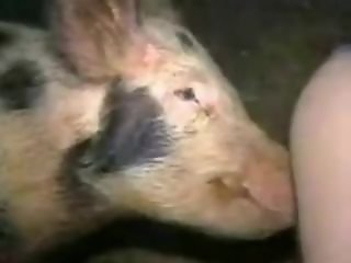 Free Zoo porn tube