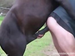 ZOO Porn and bestiality tube