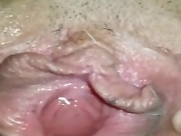 Animal Porn Zoo Videos