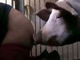 Animal porn video tube