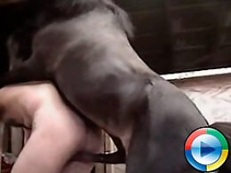 Bestiality dog tube