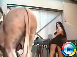Animal Porn Zilla