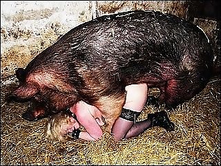 Animal porn and zoo sex