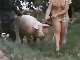 ZooXPorn