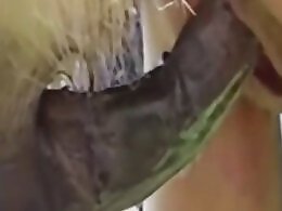 Animal porn video tube