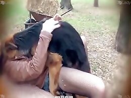 Bestiality porn tube