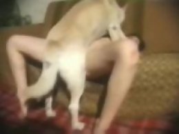 Animal porn video tube