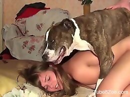 Bestiality Video