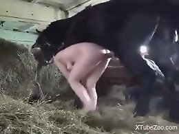 XXX bestiality zoo porn