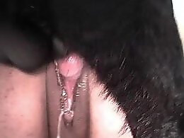 100% Free ZOO sex videos