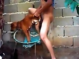 Bestiality porn tube