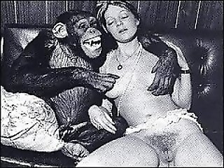 XXX Zoo Porn