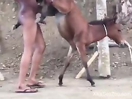 Bestiality dog tube