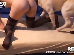 XXXVideosZoo