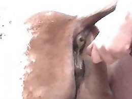 ZooAnimalPorn
