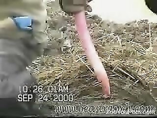 Free Zoo porn tube