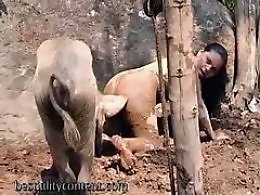 Bestiality porn tube