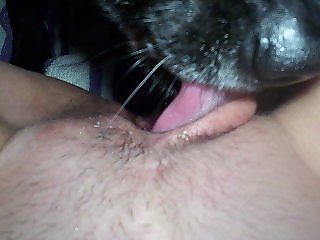 Animal Toplist Zoo Sex Porn