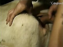 Zoo Zoo Sex Porn