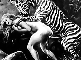 Animal porn video tube