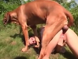 ZooXPorn