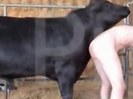Sexy Beastiality Porn Videos