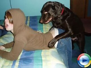 Animal porn video tube