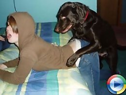 Animal porn video tube