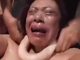 Zoo porno and animal sex