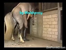 Animal porn videos and ZOO PORN