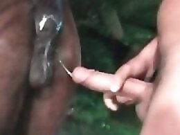 Animal porn video tube