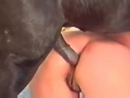 Animal porn video tube