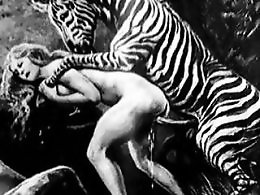 Free Zoo porn tube