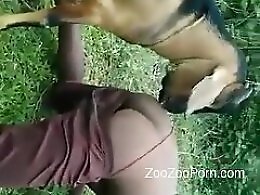 ZooXPorn