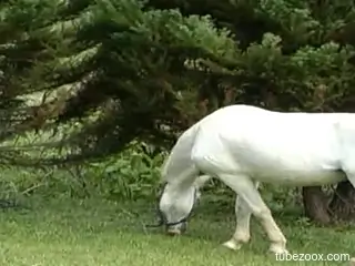 Sexy blonde in outdoor scenes of raw horse porn