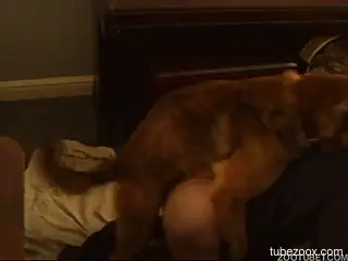 Furry dog shows woman great zoophilia pleasures
