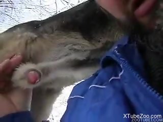 Man sucks and fucks with animals in the snow