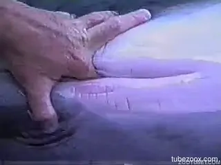 Guy finger fucks dolphin in kinky modes
