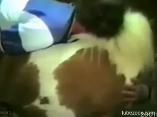 Strong horse porn pleasures for a naked amateur