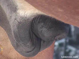 Huge horse dick seems like the right tool for this horny porn lover